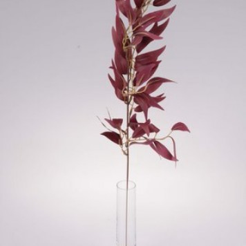 Creanga eucalypt s/12 60cm burgundy