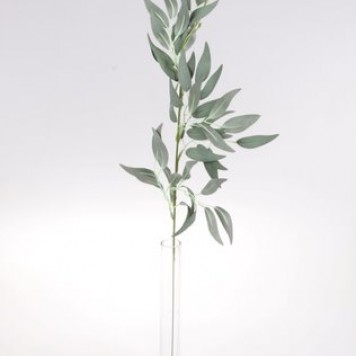 Creanga eucalypt S/12 60cm powder green