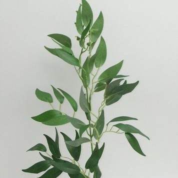 Creanga eucalypt S/12 60cm green