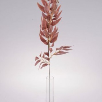 Creanga eucalypt S/12 60cm lt braun