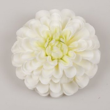 Cap dalie pompon 12cm S/6 crem-verde