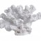 Coral polirezin alb