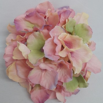 Cap hortensie 12cm rose green