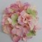 Cap hortensie 12cm rose green
