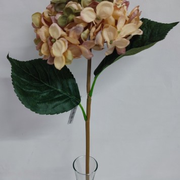 Fir hortensie 45cm piersica