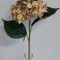 Fir hortensie 45cm piersica
