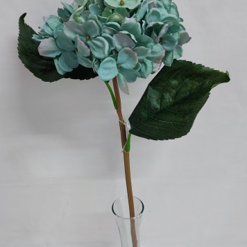 Fir hortensie 45cm turcoaz