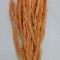 Ovaz salbatic piersica