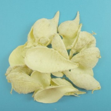 Tutun salbatic inalbit
