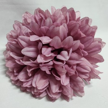 Cap crizanteme 18cm S/6 nalba