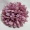 Cap crizanteme 18cm S/6 nalba
