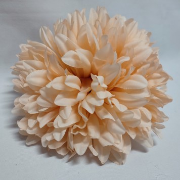 Cap crizanteme 18cm S/6 piersica