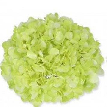 Cap hortensie 25cm verde