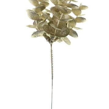 Pick eucalipt 24cm sampanie