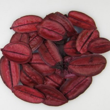 Asa Barata mini bordeaux