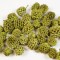 Casuarina vopsit verde oliv