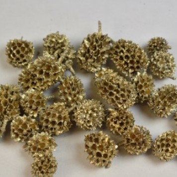 Casuarina sampanie&glitter
