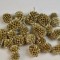 Casuarina sampanie&glitter