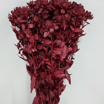 Sofran bordeaux