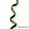 Banda decor catifea 10mmx10m verde inchis