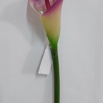 Fir cale extra 70cm ciclam