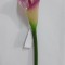 Fir cale extra 70cm ciclam