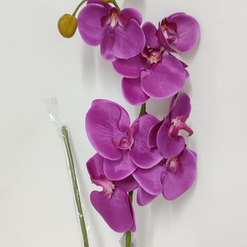 Fir orhidee extra PURPLE