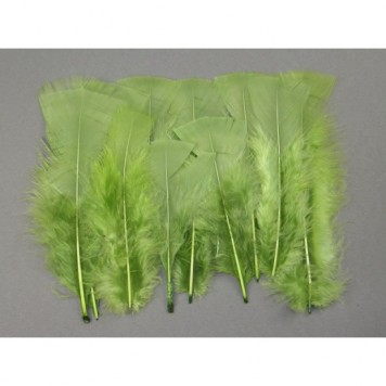 Pene 10gr.verde inchis