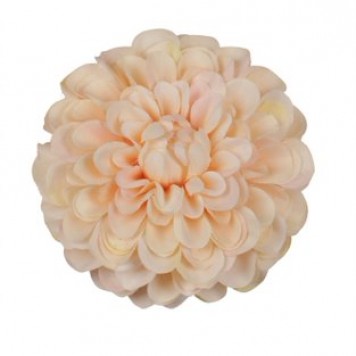 Cap dalie pompon 12cm S/6 piersica