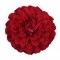 Cap dalie pompon 12cm S/6 rosu