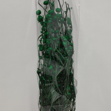Ammobium verde inchis