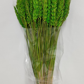 Grau fara arifte verde deschis