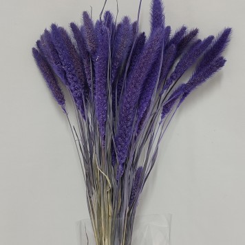 Mohor mov deschis