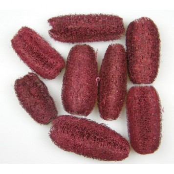 Luffa 8-10cm bordeaux