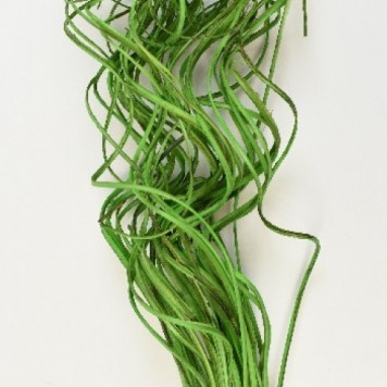Curly Ting Ting verde inchis