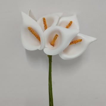 Cale polifoam 7cm