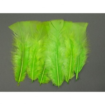 Pene 10gr.verde deschis