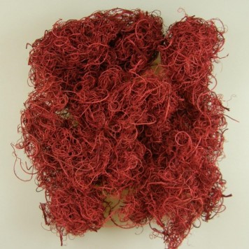 Curly moos rosu