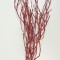 Legatura vity gally vopsit bordeaux