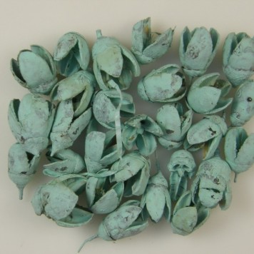 Bakuli vopsite aqua