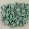 Bakuli vopsite aqua