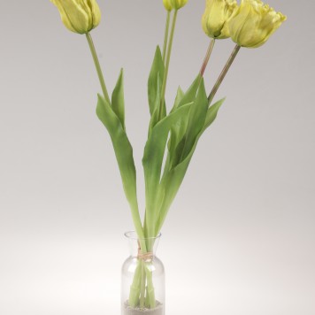 Buchet lalele latex x5 verde