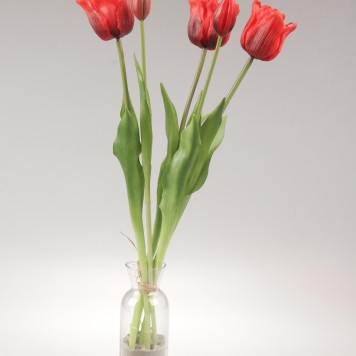 Buchet lalele latex x5 rosu
