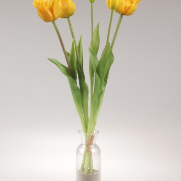 Buchet lalele latex x5 galben