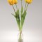 Buchet lalele latex x5 galben