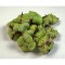Flori de bumbac verde deschis