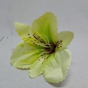 Cap astromelia S/24 verde