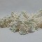 Capete floricele cu bilute S/5 verde