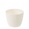 Ghiveci Magnolia Jumper 110mm crem