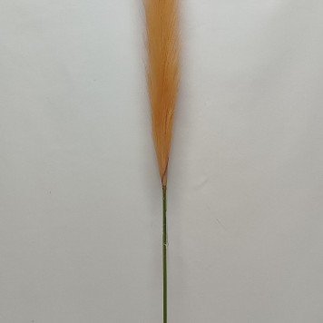 Iarba pampas 76cm portocaliu